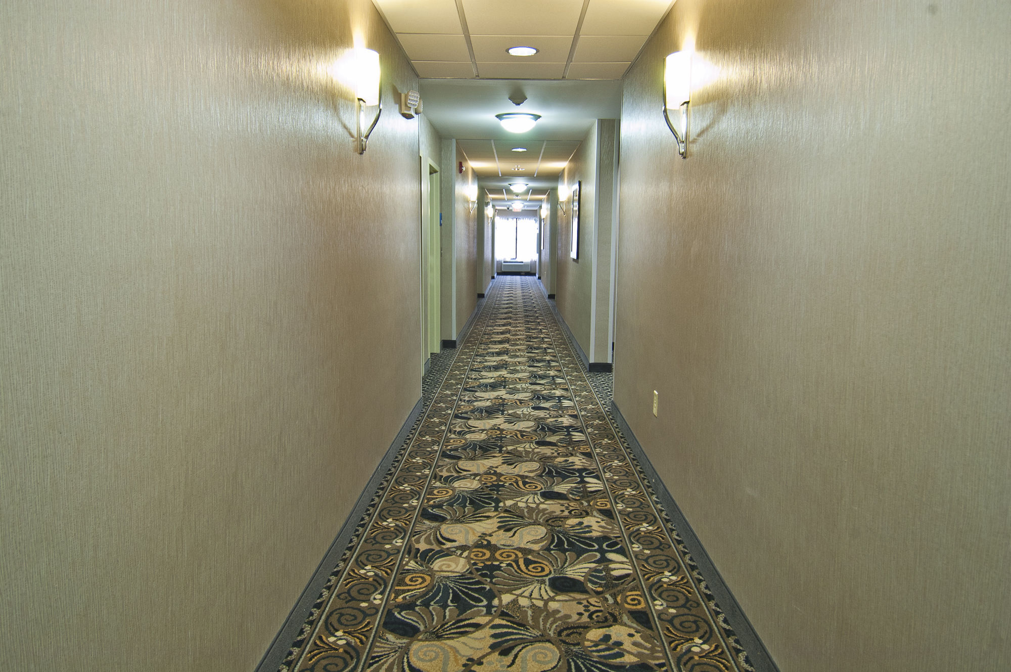 Holiday Inn Express & Suites Jackson/Pearl International Airport Exteriér fotografie